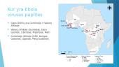 Ebola 2 puslapis
