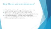 Ebola 4 puslapis