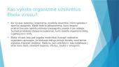 Ebola 5 puslapis