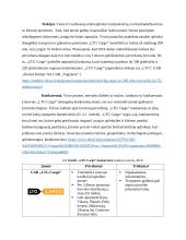 „LTG cargo“ įmonės analizė ir problemų sprendimas pagal lean canvas metodologiją 11 puslapis