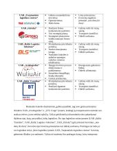 „LTG cargo“ įmonės analizė ir problemų sprendimas pagal lean canvas metodologiją 12 puslapis