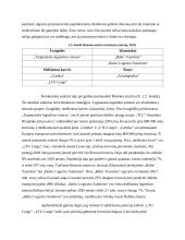 „LTG cargo“ įmonės analizė ir problemų sprendimas pagal lean canvas metodologiją 13 puslapis