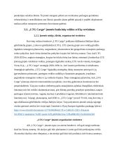 „LTG cargo“ įmonės analizė ir problemų sprendimas pagal lean canvas metodologiją 14 puslapis
