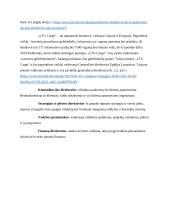 „LTG cargo“ įmonės analizė ir problemų sprendimas pagal lean canvas metodologiją 15 puslapis