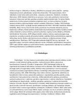 „LTG cargo“ įmonės analizė ir problemų sprendimas pagal lean canvas metodologiją 3 puslapis