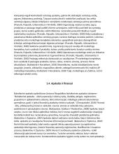 „LTG cargo“ įmonės analizė ir problemų sprendimas pagal lean canvas metodologiją 4 puslapis