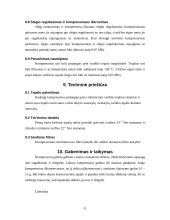 Oro kompresorių klasifikacija ir jų panaudojimas automobiliuose 11 puslapis