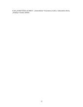 Oro kompresorių klasifikacija ir jų panaudojimas automobiliuose 12 puslapis