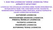 Lietuvos respublikos autorių teisių ir gretutinių teisių įstatymas 2 puslapis