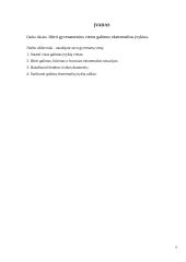 Gyvenamosios vietos tyrimas 5 km spinduliu 4 puslapis