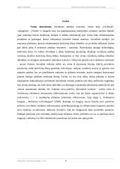 Socialinių medijų reklamos poveikis jaunam žmogui 2 puslapis