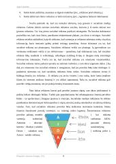 Socialinių medijų reklamos poveikis jaunam žmogui 5 puslapis