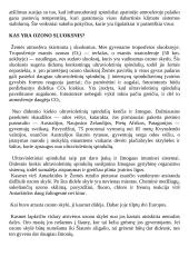 Oro tarša aplinkoje 3 puslapis