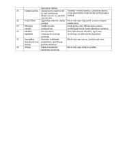 Posakiai iš antikos mitų - jų kilmė ir reikšmės 2 puslapis