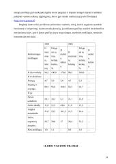 Oro tarša Lietuvoje 12 puslapis