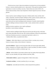 Oro tarša Lietuvoje 13 puslapis