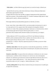 Oro tarša Lietuvoje 14 puslapis