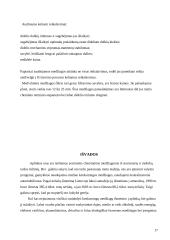 Oro tarša Lietuvoje 15 puslapis