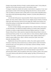 Oro tarša Lietuvoje 16 puslapis