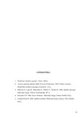 Oro tarša Lietuvoje 17 puslapis