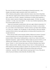 Oro tarša Lietuvoje 3 puslapis