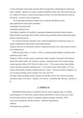 Oro tarša Lietuvoje 5 puslapis