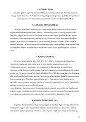 Oro tarša Lietuvoje 9 puslapis