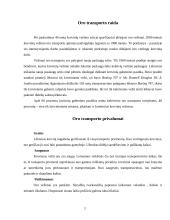 Oro transportas 2 puslapis