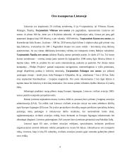 Oro transportas 4 puslapis