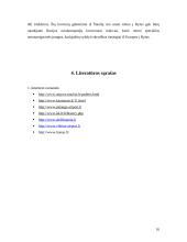 Oro transportas Lietuvoje 16 puslapis