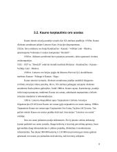 Oro transportas Lietuvoje 8 puslapis