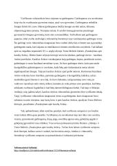 Vyriškumo samprata antikos ir viduramžių literatūroje 2 puslapis