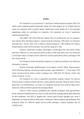 Oro transporto modernizavimas ir plėtra 2 puslapis