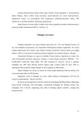 Oro transporto modernizavimas ir plėtra 11 puslapis