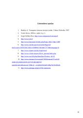 Oro transporto modernizavimas ir plėtra 18 puslapis