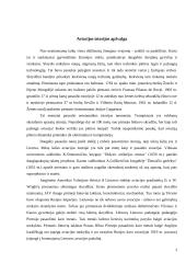 Oro transporto modernizavimas ir plėtra 3 puslapis