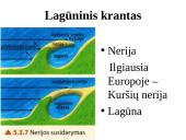 Vandenyno dugnas ir krantų tipai 17 puslapis