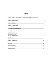 Paauglystės laikotarpio krizės 2 puslapis