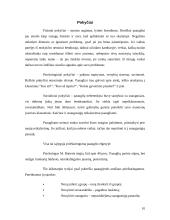 Paauglystės laikotarpio krizės 11 puslapis