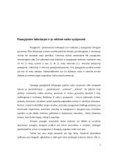 Paauglystės laikotarpio krizės 3 puslapis