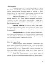 Paauglystės laikotarpio krizės 9 puslapis