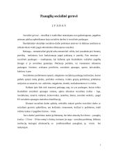 Paauglių socialinė gerovė
