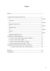 Pagrindinės Europos Sąjungos institucijos: jų paskirtis ir funkcijos   2 puslapis