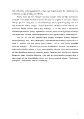 Pagrindinės Europos Sąjungos institucijos: jų paskirtis ir funkcijos   10 puslapis