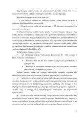 Pagrindinės Europos Sąjungos institucijos: jų paskirtis ir funkcijos   14 puslapis