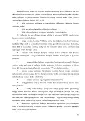 Pagrindinės Europos Sąjungos institucijos: jų paskirtis ir funkcijos   15 puslapis