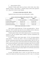 Pagrindinės Europos Sąjungos institucijos: jų paskirtis ir funkcijos   16 puslapis