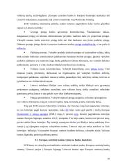 Pagrindinės Europos Sąjungos institucijos: jų paskirtis ir funkcijos   17 puslapis