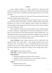 Pagrindinės Europos Sąjungos institucijos: jų paskirtis ir funkcijos   3 puslapis