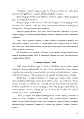 Pagrindinės Europos Sąjungos institucijos: jų paskirtis ir funkcijos   7 puslapis